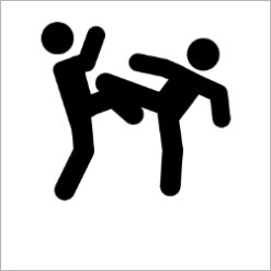 Martial arts